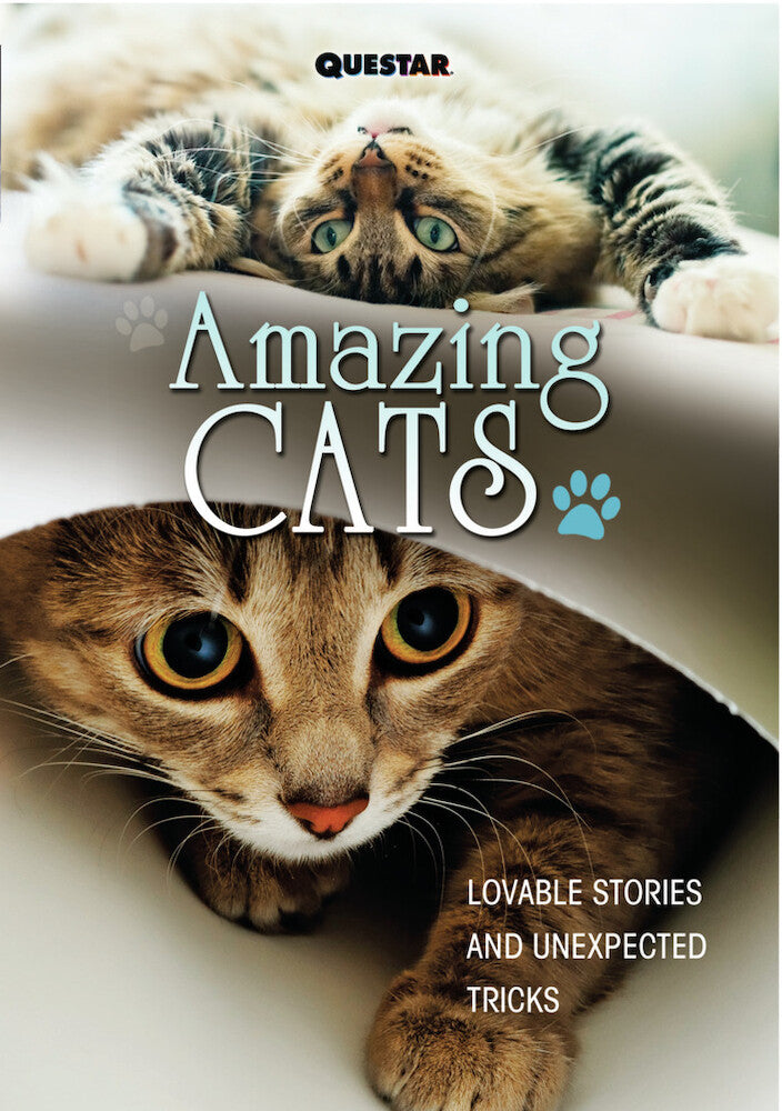 amazing cats - DVD