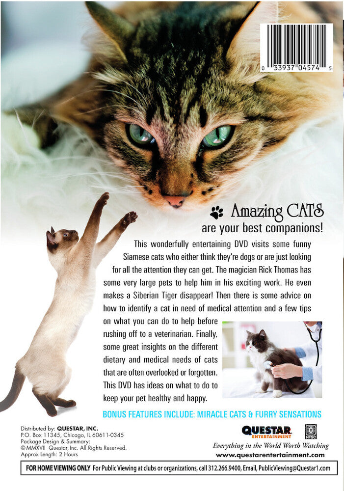 amazing cats - Back Panel - DVD