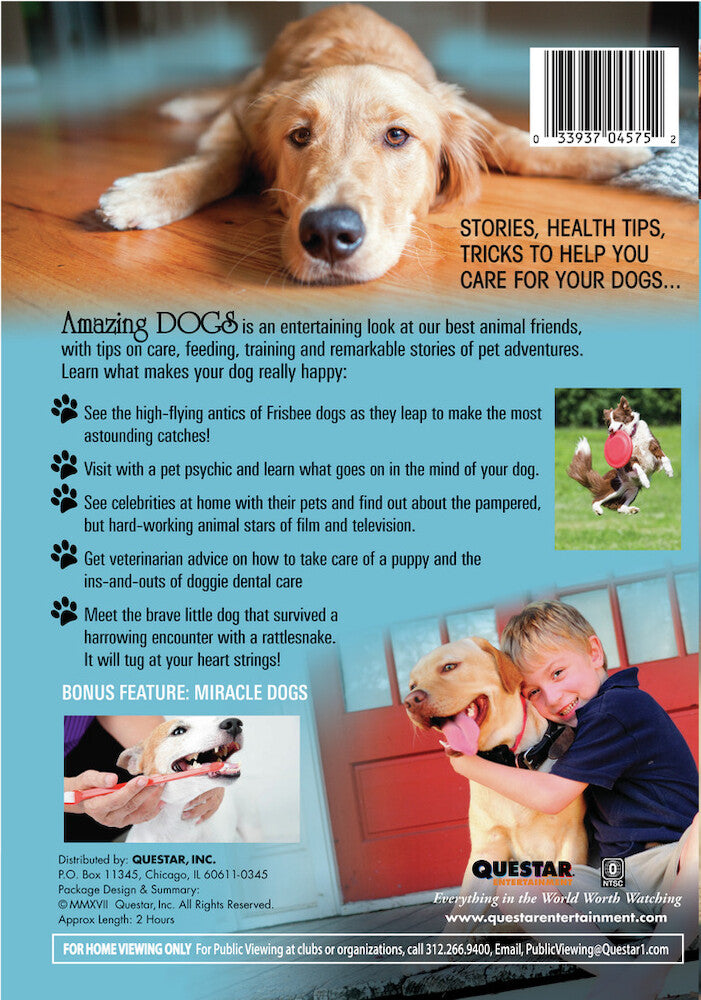 amazing dogs - Back Panel - DVD