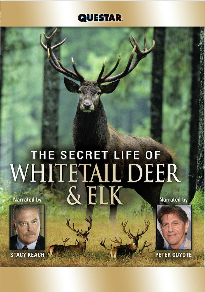 The Secret Life of Whitetail Deer and Elk - 