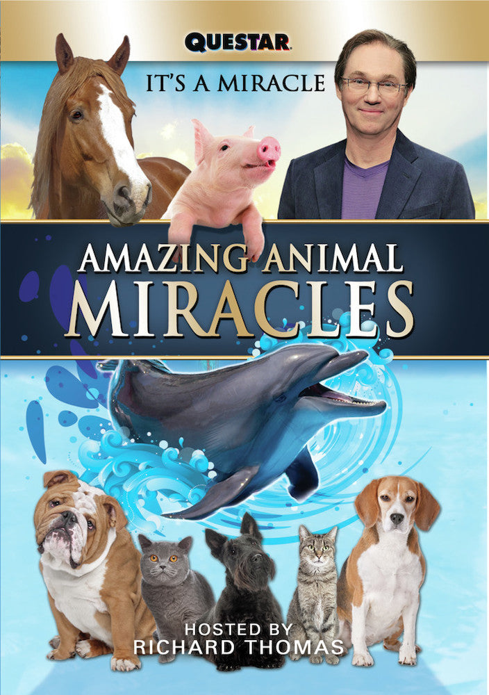 Amazing Animal Miracles - 