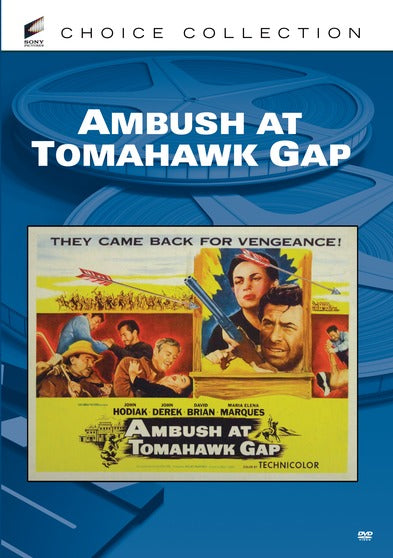 Ambush At Tomahawk Gap - 