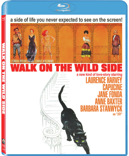 Walk on the Wild Side - 