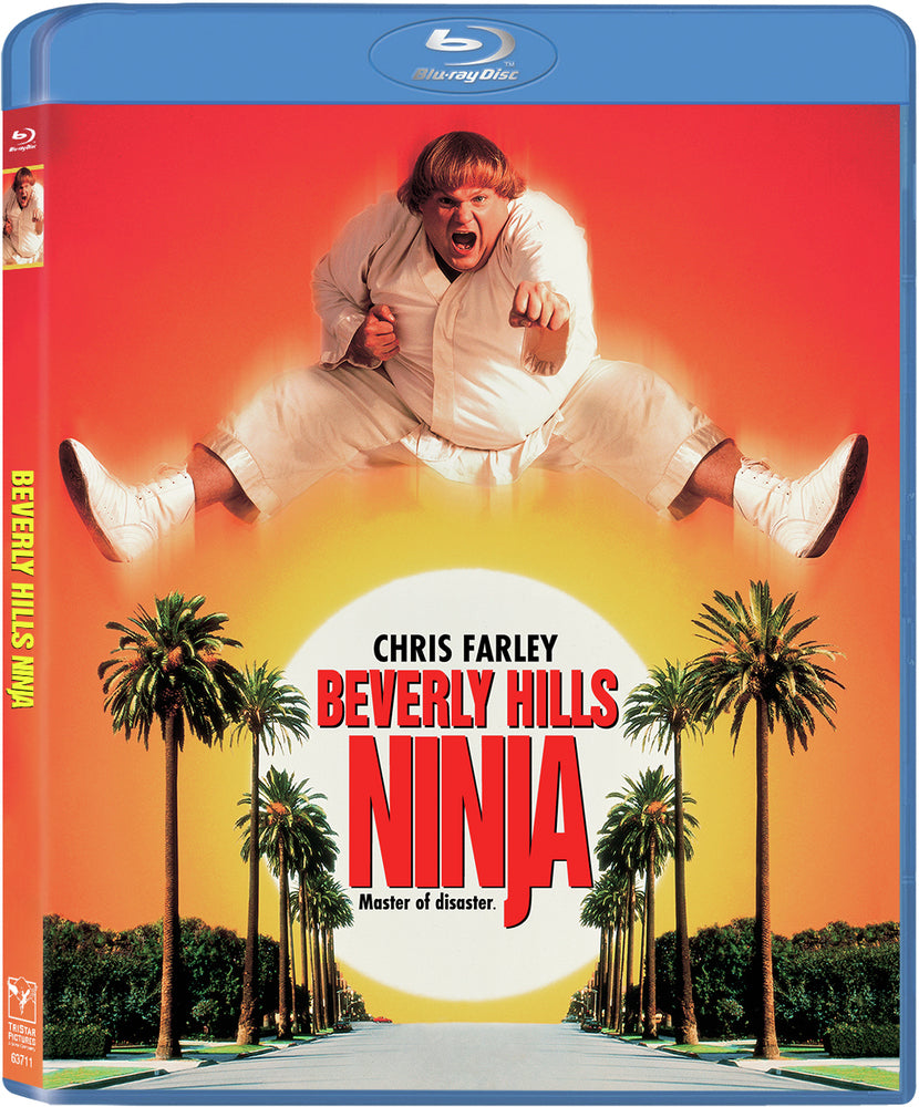 Beverly Hills Ninja - 
