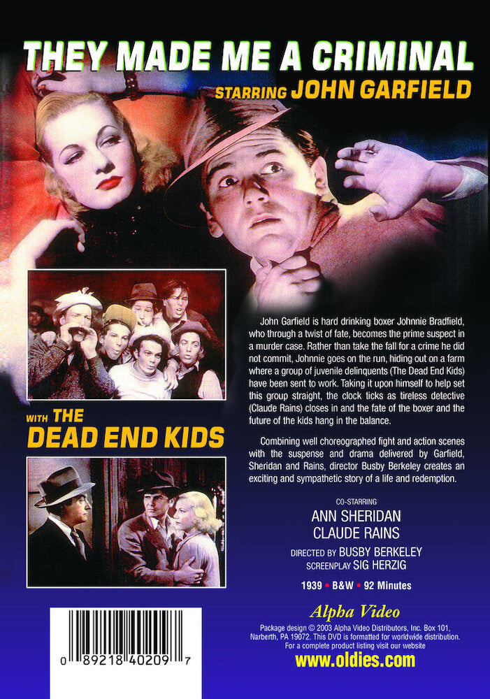 They Made Me A Criminal - Back Panel - 