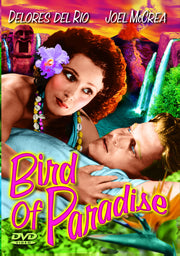 Bird of Paradise - 