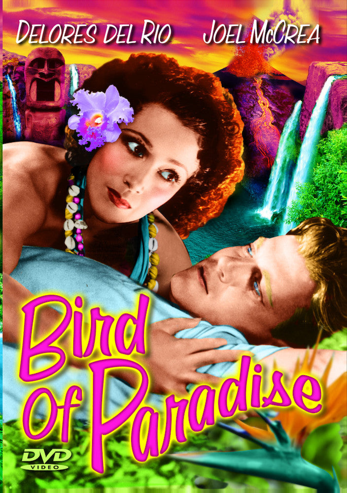 Bird of Paradise - 