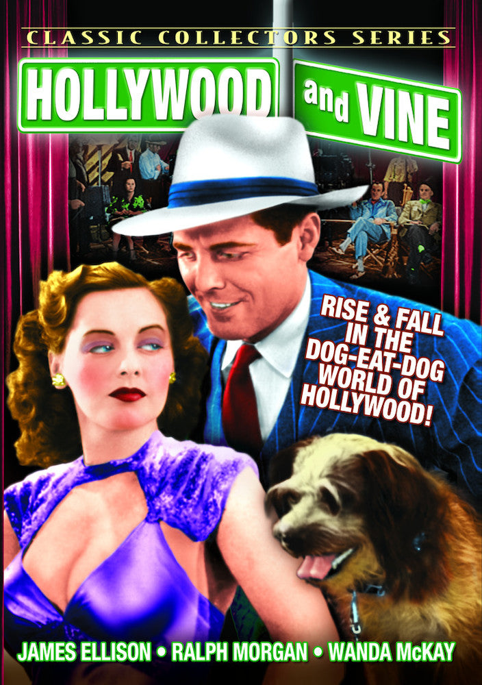 Hollywood & Vine - 