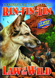 Rin Tin Tin - Law of the Wild - 
