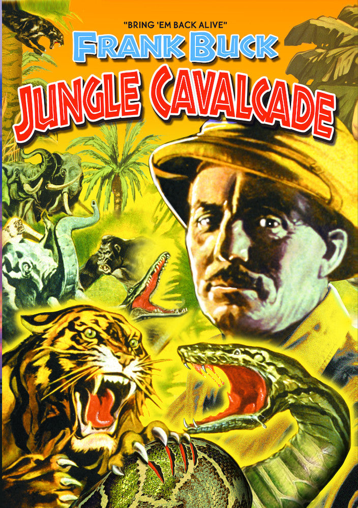 Jungle Cavalcade - 