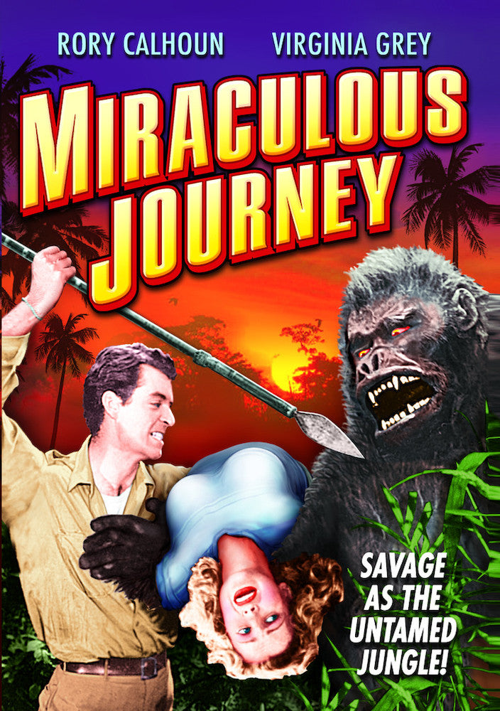 Miraculous Journey - 
