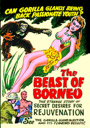 The Beast of Borneo - 