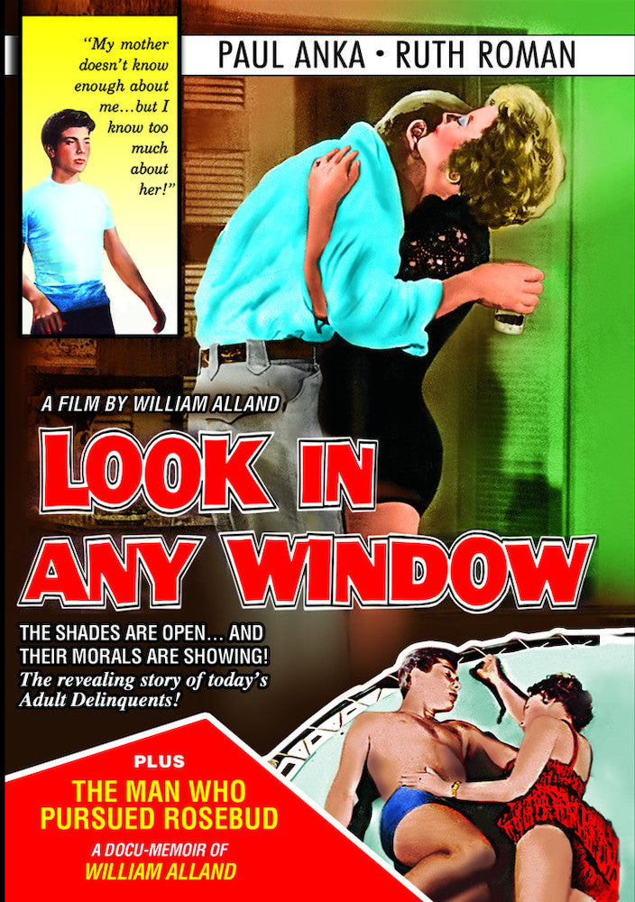 Look In Any Window - 