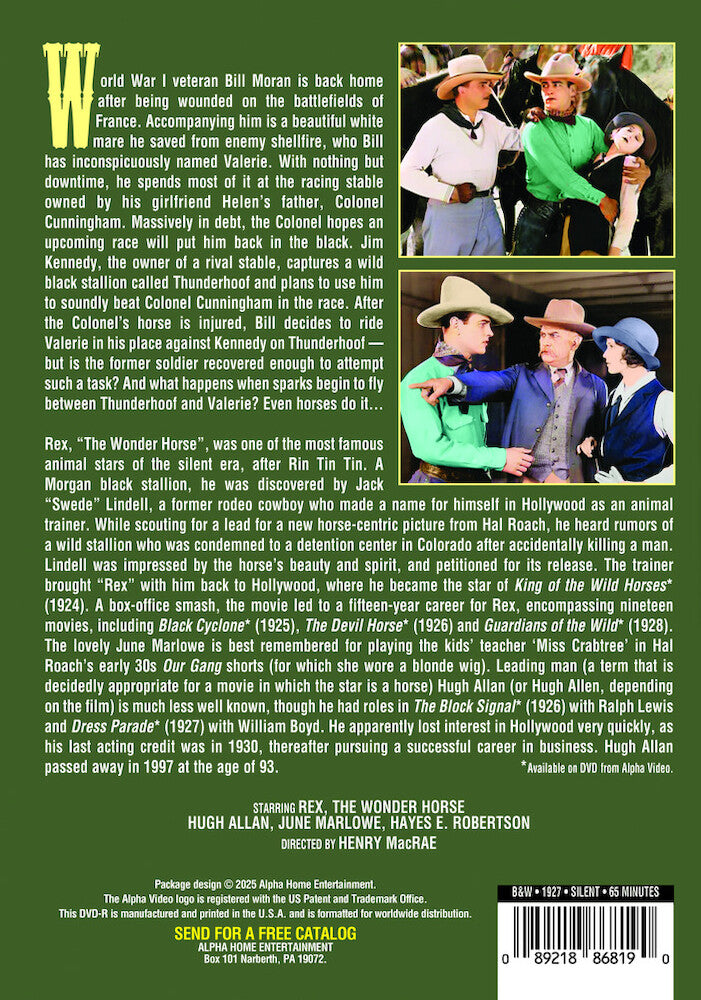 wild beauty (silent) - Back Panel - DVD