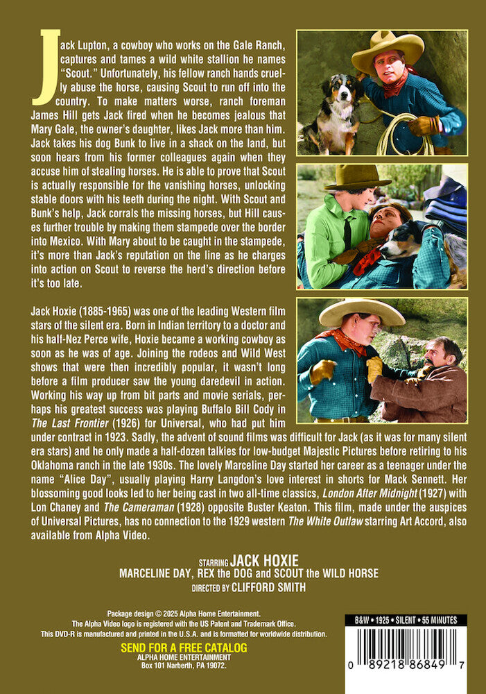 the white outlaw (silent) - Back Panel - DVD