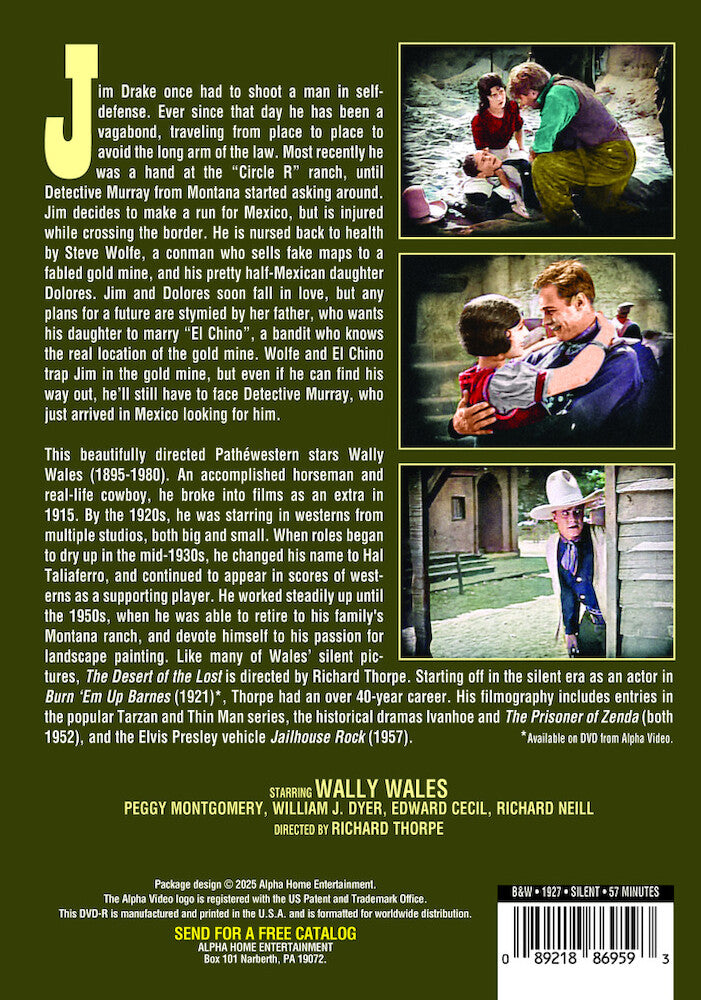 The Desert of the Lost (Silent) - Back Panel - 