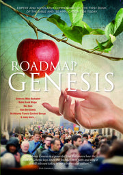 Roadmap Genesis - 