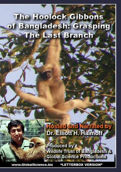 The Hoolock Gibbons of Bangladesh: Grasping the Last Branch - 
