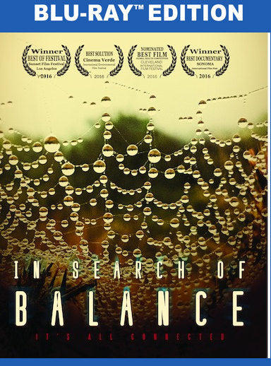 In Search of Balance - 