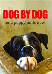 Dog By Dog - 