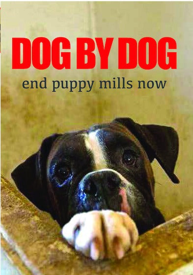 Dog By Dog - 