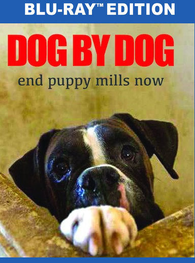 Dog By Dog - 
