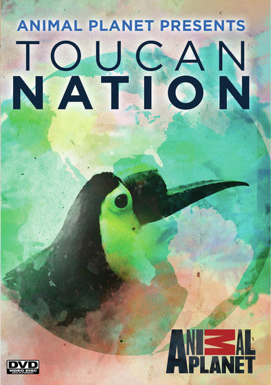 Toucan Nation - 