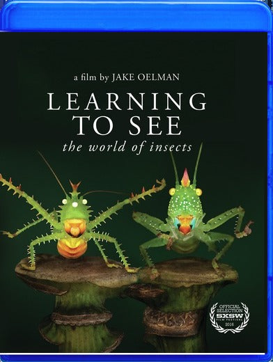 Learning to See: The World of Insects - 