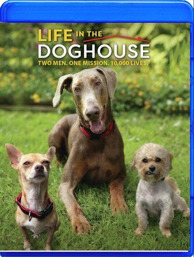 Life in the Doghouse - 