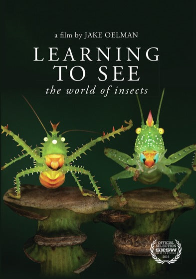 Learning to See: The World of Insects - 