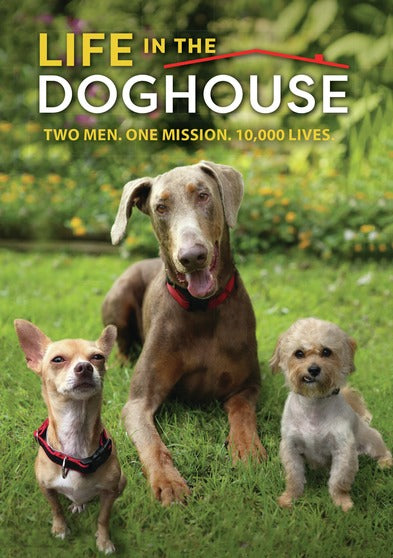Life in the Doghouse - 