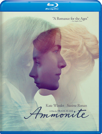 Ammonite - 