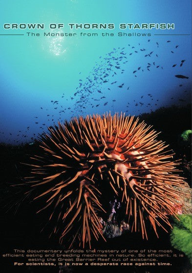 Crown of Thorns Starfish: Monster from the Shallows - 