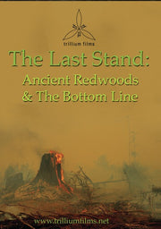 The Last Stand: Ancient Redwoods and the Bottom Line - 