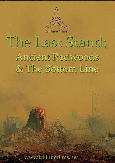The Last Stand: Ancient Redwoods and the Bottom Line - 