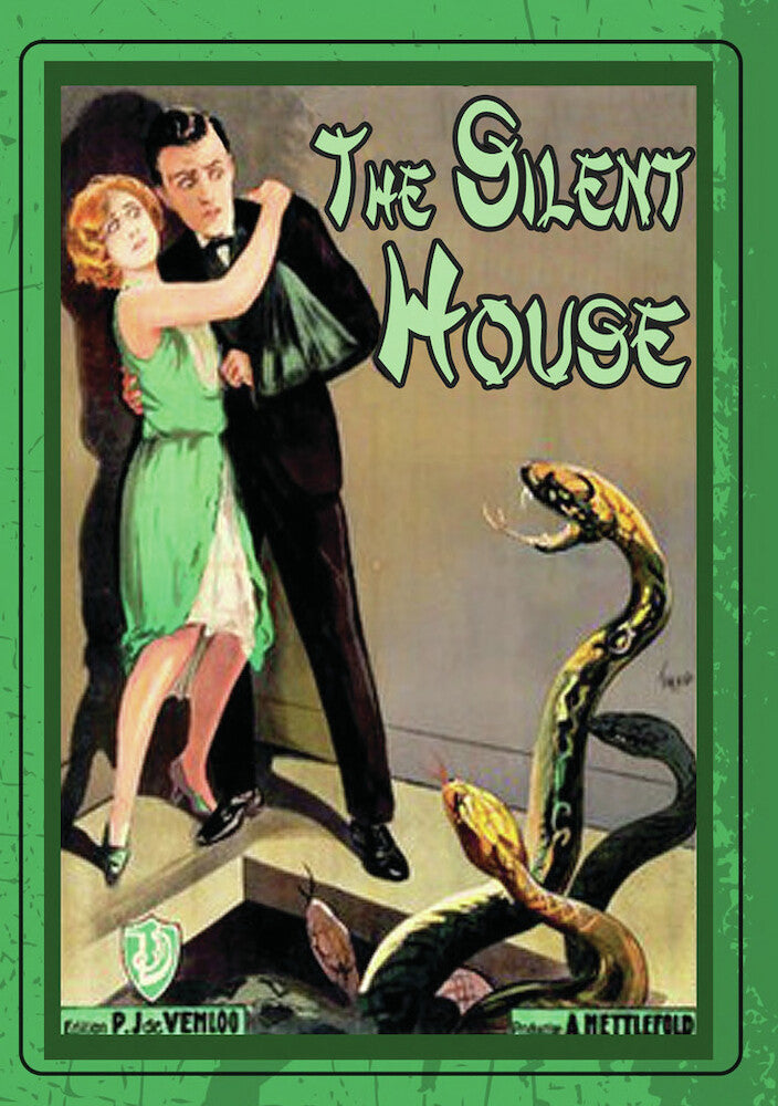 the silent house - DVD
