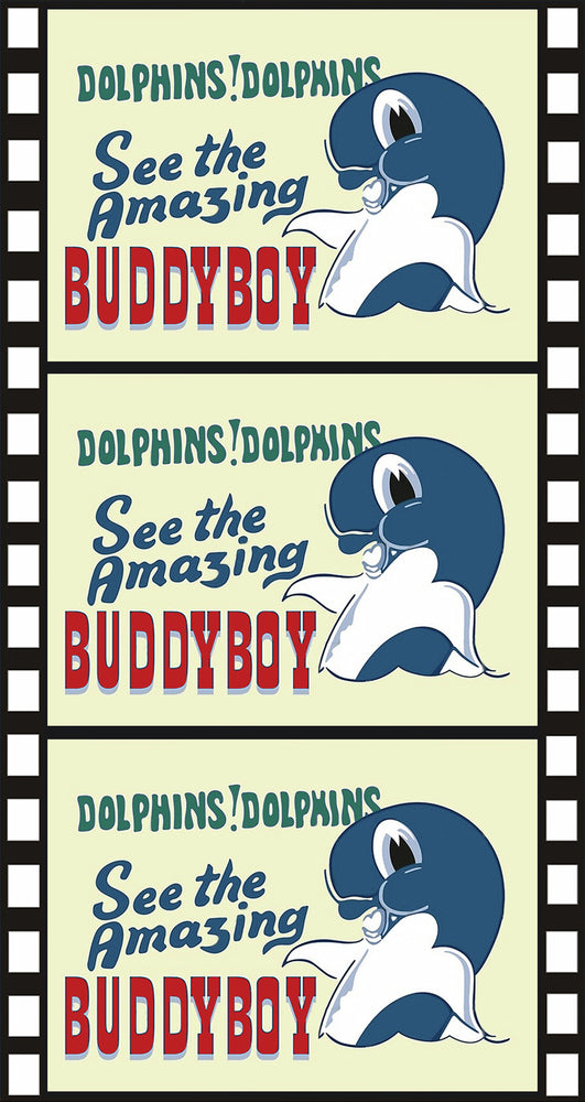 Buddyboy - 