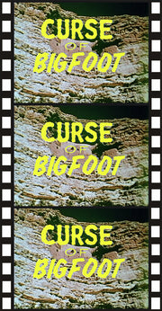Curse of Bigfoot - 