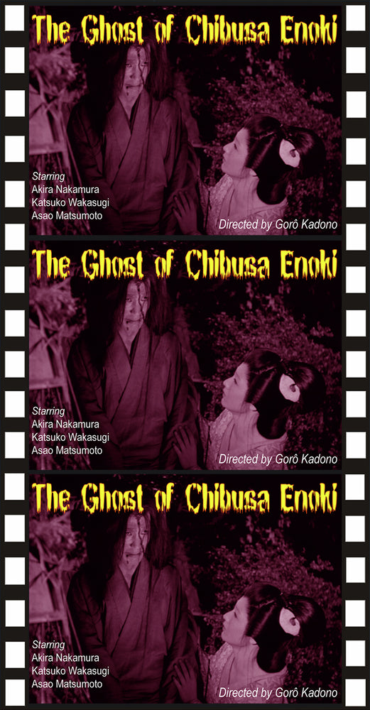The Ghost of Chibusa Enoki - 