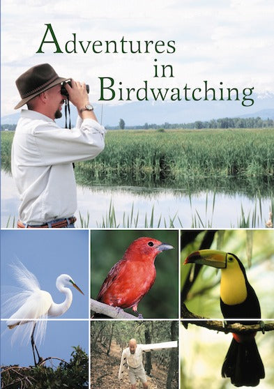 Adventures in Birdwatching - 