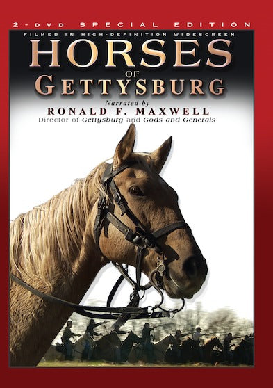 Horses of Gettysburg (2 Set) - 