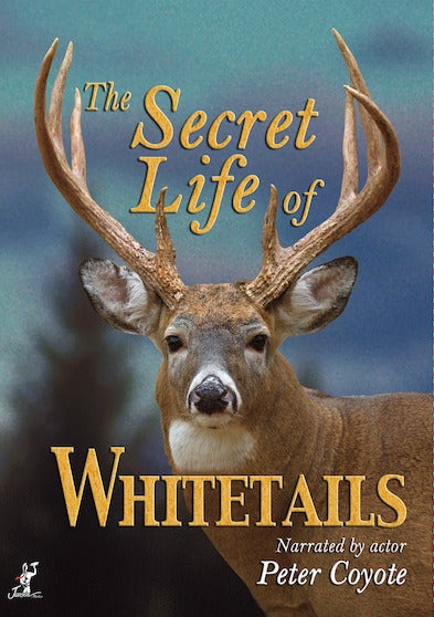 Secret Life of Whitetails, The - 