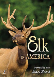 Elk in America - 