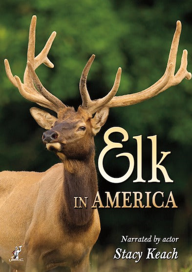 Elk in America - 