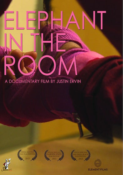 Elephant in the Room - 