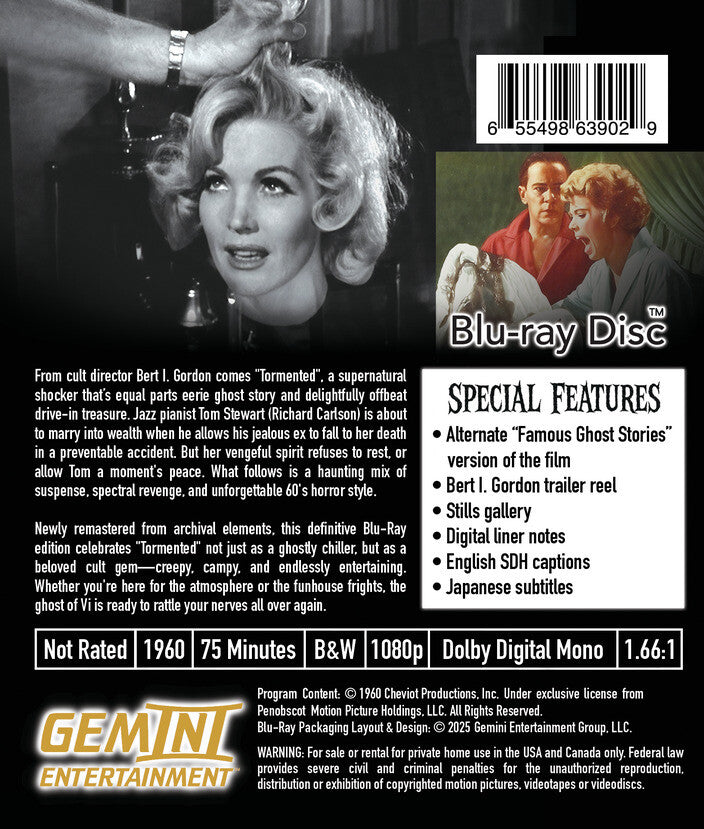 tormented: special edition - Back Panel - Blu-ray