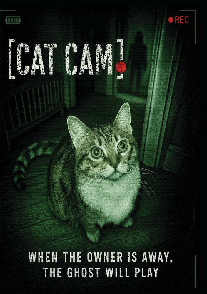 Cat Cam - 