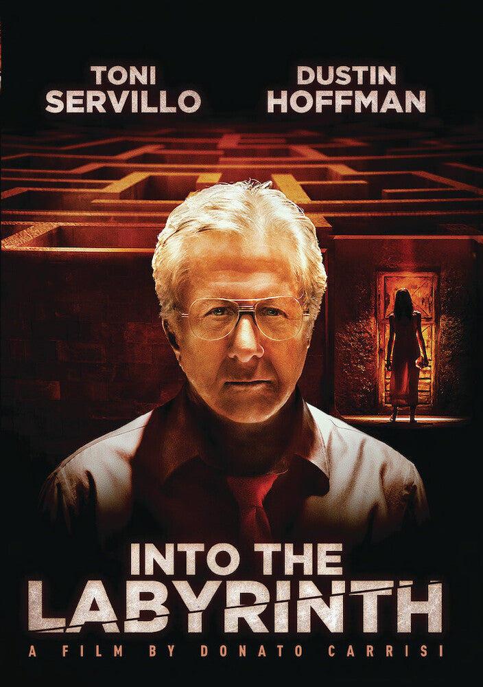 into the labyrinth - DVD