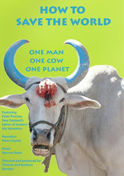 How to Save the World - 