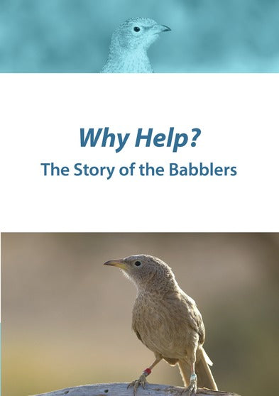 Why Help? The Story of the Babblers - 